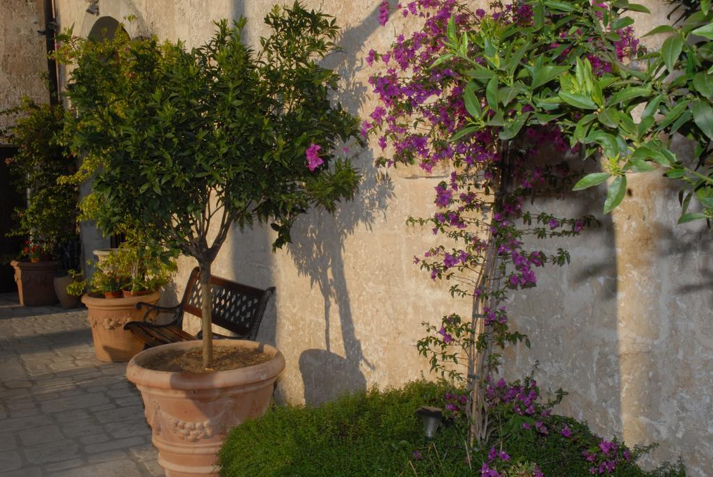Castello Conti Filo Bed & Breakfast Torre Santa Susanna Bagian luar foto